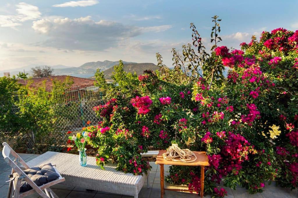 Athena's Garden House Porto Rafti
